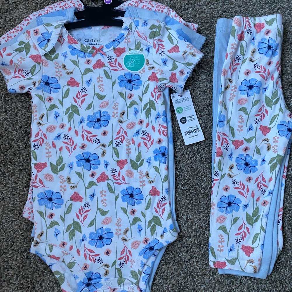 Carter's Blue and Pink Floral Baby Onesie Set